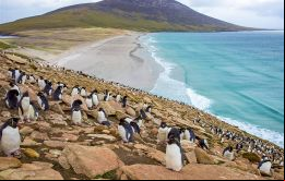 MLA Leona Roberts dijo que es una estrategia de importancia crucial para las Islas Falkland. Es un trabajo “para alcanzar nuestra visión de un futuro sustentable y biodiverso”.
