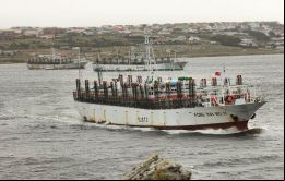 Pesqueros y poteros en la rada de Stanley previo al inicio de una de las zafras de pesca       