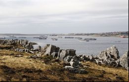 Los poteros en la rada del puerto de Stanley cuando van a retirar sus licencias de pesca