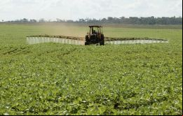 El Gobierno de Paraguay ahora necesita encontrar una solución a este problema ambiental y humanitario