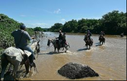 El gobierno de Nicaragua solo ofrece vacunas rusas o cubanas que hacen imposible viajar