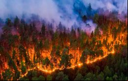 En Uruguay, los primeros días de 2022 ya estuvieron marcados por aterradoras imágenes de incendios en varias zonas del país.