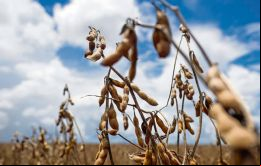 “Un mal año agrícola tiene efectos en toda la economía del país”, explicó Bertoni