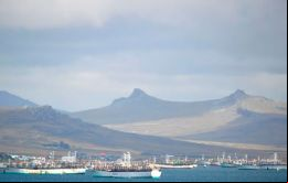 Decenas de poteros se acercaron al puerto de Stanley para recoger sus licencias. Crédito: Penguin News