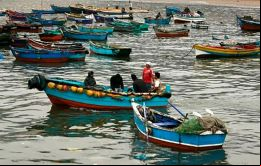 ¿Boric escuchará a los pescadores artesanales?