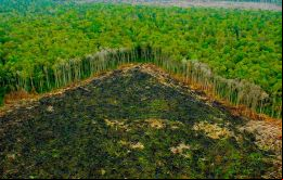 A Marfrig se le retiró un préstamo de US$ 200 millones del BID, supuestamente por estar fomentando la deforestación en el Amazonas.  