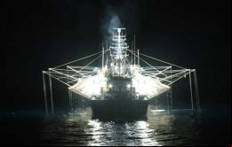 En 2020 la pesca y acuacultura representaron el mayor valor para la economía de las Islas, contribuyendo £58.1 millones, o sea el 59,2% del PBI nominal (Foto A. Henry)