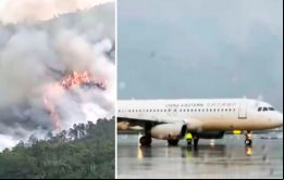El avión parecía estar en una sola pieza cuando cayó en picada, dijo un testigo