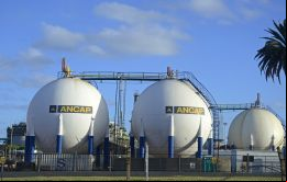 En el único segmento empresarial donde ANCAP es monopolio perdió dinero, dijo Stipanicic