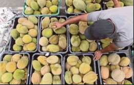 La exportación de frutas a China ya no es como antes