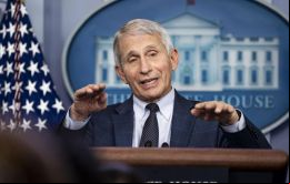 Fauci sugirió que la FDA debería revisar los datos de Pfizer y Moderna simultáneamente para no confundir a la gente