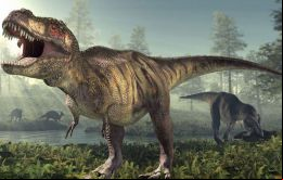 El proyecto contó con el apoyo de la National Geographic Society y otros patrocinadores de Argentina y Estados Unidos