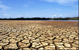 El suministro de alimentos y agua se verá afectado, advierte el informe de la agencia de la ONU  
