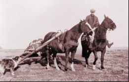 Caballos tirando con una suerte de trineos precarios estilo indio  