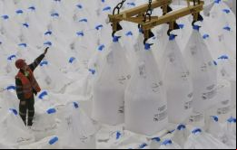 Los fertilizantes rusos deben exportarse cuanto antes, insistió Guterres