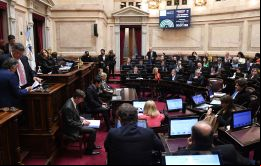 El senador opositor Naidenoff se mostró confiado en que el proyecto no pasará por la Cámara de Diputados