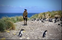La Princesa Ana rodeada de pingüinos durante una visita a la reserva de Bleaker Island