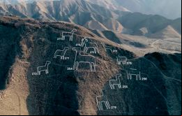 Con estos nuevos hallazgos, el grupo ha descubierto un total de 358 geoglifos desde que comenzó a estudiar las líneas de Nazca en 2004