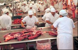 Una caída en las ventas de carne bovina deshuesada congelada explicó la baja en los resultados generales