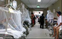 Sólo se han registrado 9 casos de dengue en lo que va de año en Paraguay, frente a los 1.244 de chikungunya