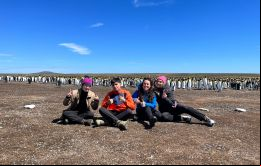 Los cuatro representantes de en Volunteer Point, una postal clásica de las Islas, donde anidan varias de las especies de pingüinos 