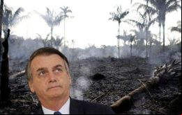 La deforestación dio un giro para peor con el expresidente Jair Bolsonaro
