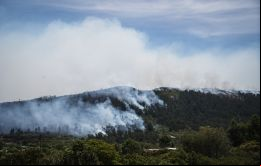 No se descarta la intencionalidad como posible causa del incendio del Cerro del Toro, explicó Graña. Foto: Sebastián Astorga /  FocoUy
