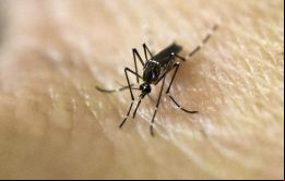 Con un 30% del personal sanitario de licencia por enfermedad, el chikungunya también está creando una sobrecarga de trabajo para quienes siguen de guardia