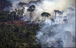La mayor parte del fuego en la vegetación es de origen antropogénico, humano, no es de origen natural, subrayó Arruda