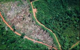 Si hay oro en la tierra indígena de Roraima, nadie tiene derecho a sacarlo sin la autorización del pueblo indígena de Brasil, dijo Lula.