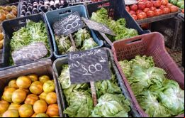 La inflación promedio fue de 7,7% pero la lechuga subió 58,5%