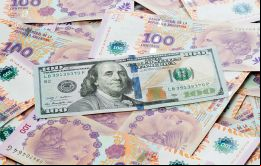 Operadores y funcionarios del gobierno prevén que se sumarán US$ 5.000 millones a las reservas del BCRA gracias al agrodólar que finaliza el 31 de mayo.