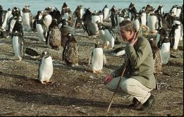 La postal clásica de Carlos entre los pingüinos