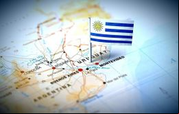 Uruguay tiene 16 mil casos para analizar, explicó Mondelli