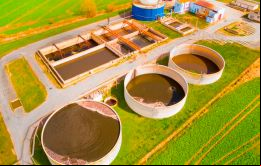 Biomasa de caña de azúcar representa el 72% de toda la capacidad instalada de bioelectricidad en Brasil