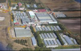 Parte de los valiosos terrenos productivos de Stanley Growers 