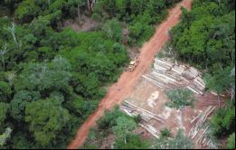 La deforestación estaba aumentando exponencialmente, pero ahora hay una tendencia constante a la baja en la deforestación de la Amazonia, dijo la Ministra Silva