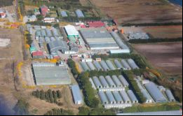 El matrimonio Jan y Tim Miller artífices del milagro de la producción de legumbres frescas en invernáculos en las Falklands 