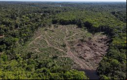 Si la reforestación hubiera comenzado en 2016, habría requerido una inversión de unos 10.700 millones de dólares, se explicó