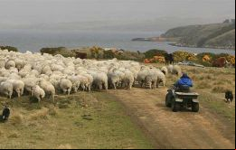 Creo que existe una masiva discrepancia, que se agranda, entre quienes son ricos  y quienes son pobres en las Falklands.