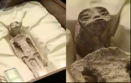 Los cuerpos tienen rasgos humanos y otros más parecidos a los de las aves