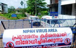 No existe vacuna contra el Nipah. La OMS lo cataloga como posible causa de pandemia junto al Covid-19 y otros patógenos