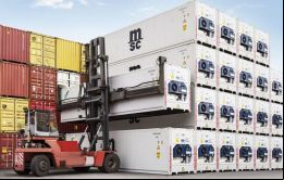 MSC optó deliberadamente por explotar otros negocios en detrimento de nuestros clientes alegó el equipo jurídico que representa a los exportadores