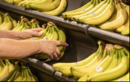 Massa ordenó priorizar el pago de bananas, explicó Fanego