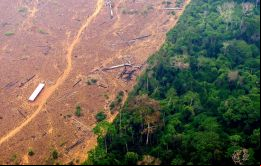 Con Brasil, estamos decididos a preservar los bosques, dijo Macron 