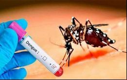 Más de 6.000 identificaciones virales de dengue se han hecho este año, con un único caso del tipo 4  