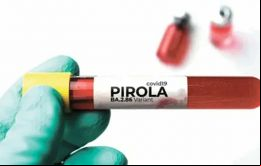 Por ahora, el riesgo para la salud pública se considera bajo