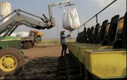 Brasil es el mayor consumidor de pesticidas a nivel mundial
