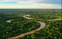 Lula ha promovido políticas medioambientales para frenar la creciente destrucción de la Amazonia