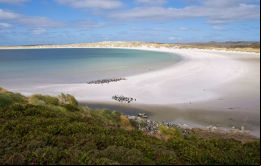 La playa de Yorke Bay, cerca de Stanley 